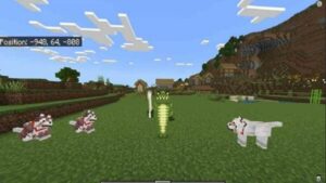 Minecraft 1.21.0.21 3