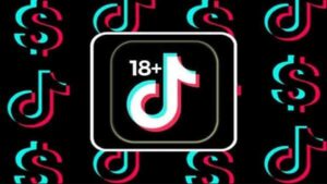 Tik Tok 18 Guide 3