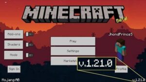 Minecraft 1.21 1