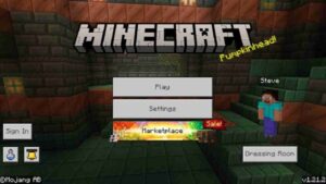 Minecraft 1.21.2 1