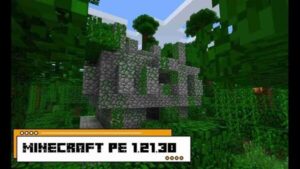 Minecraft 1.21.30 2