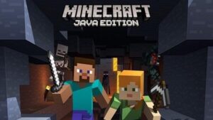 Minecraft Java Edition 2