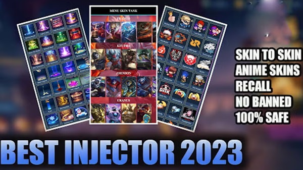 ML Skin Injector screenshot 1