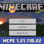 Minecraft 1.21.110.22