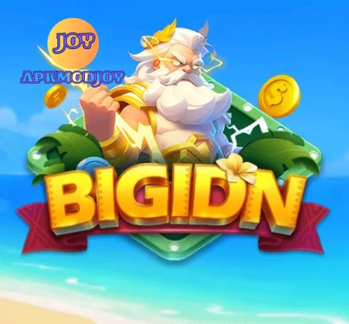BIGIDN