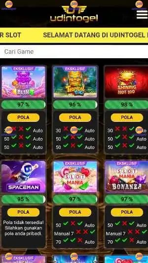 UDINTOGEL screenshot 2