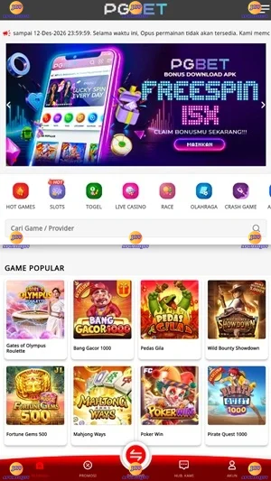 PGbet screenshot 1