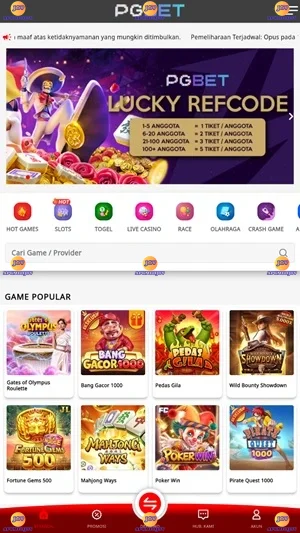 PGbet screenshot 3