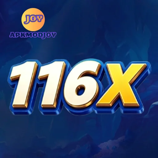 116X